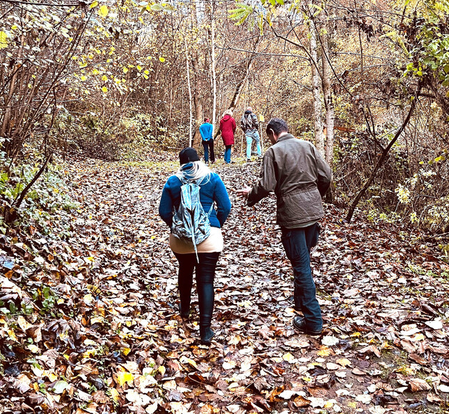 Mehrere Personen gehen gemeinsam einen herbstlichen Waldweg entlang und führen Gespräche.